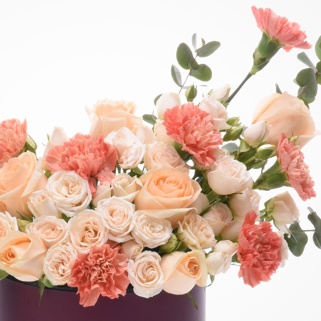 Cream roses, coral carnations, eucalyptus in deep purple vase, soft pastel bouquet.
