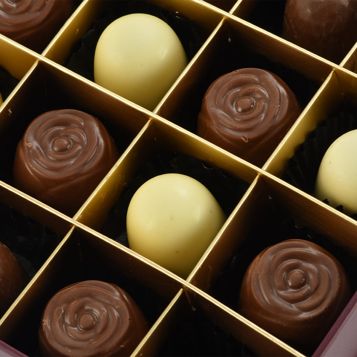 Cocoa Rose Collection