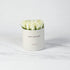 White roses in elegant cream box, "Happy Birthday" text, marble background, minimalist luxury gift.