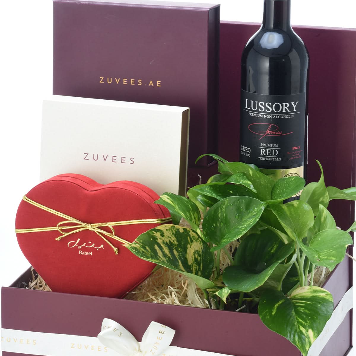 Diwali Money Plant &amp; Chocolate Gift Hamper - Diwali Gifts