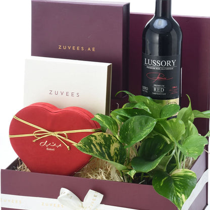 Diwali Money Plant &amp; Chocolate Gift Hamper - Diwali Gifts