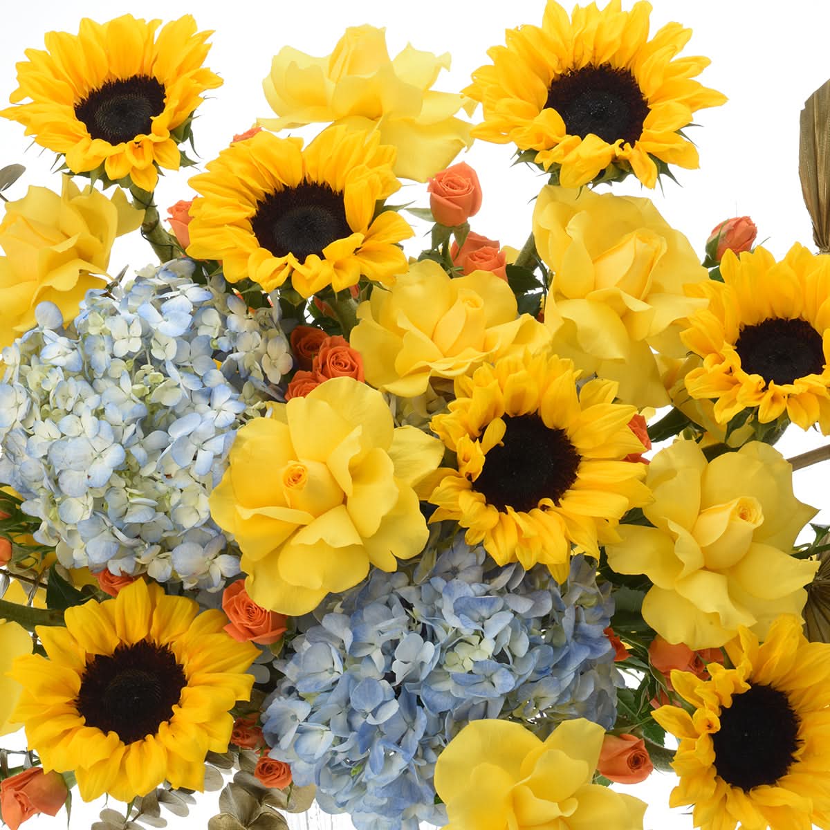 Diwali Radiance Sunflower &amp; Hydrangea Arrangement - Diwali Gifts