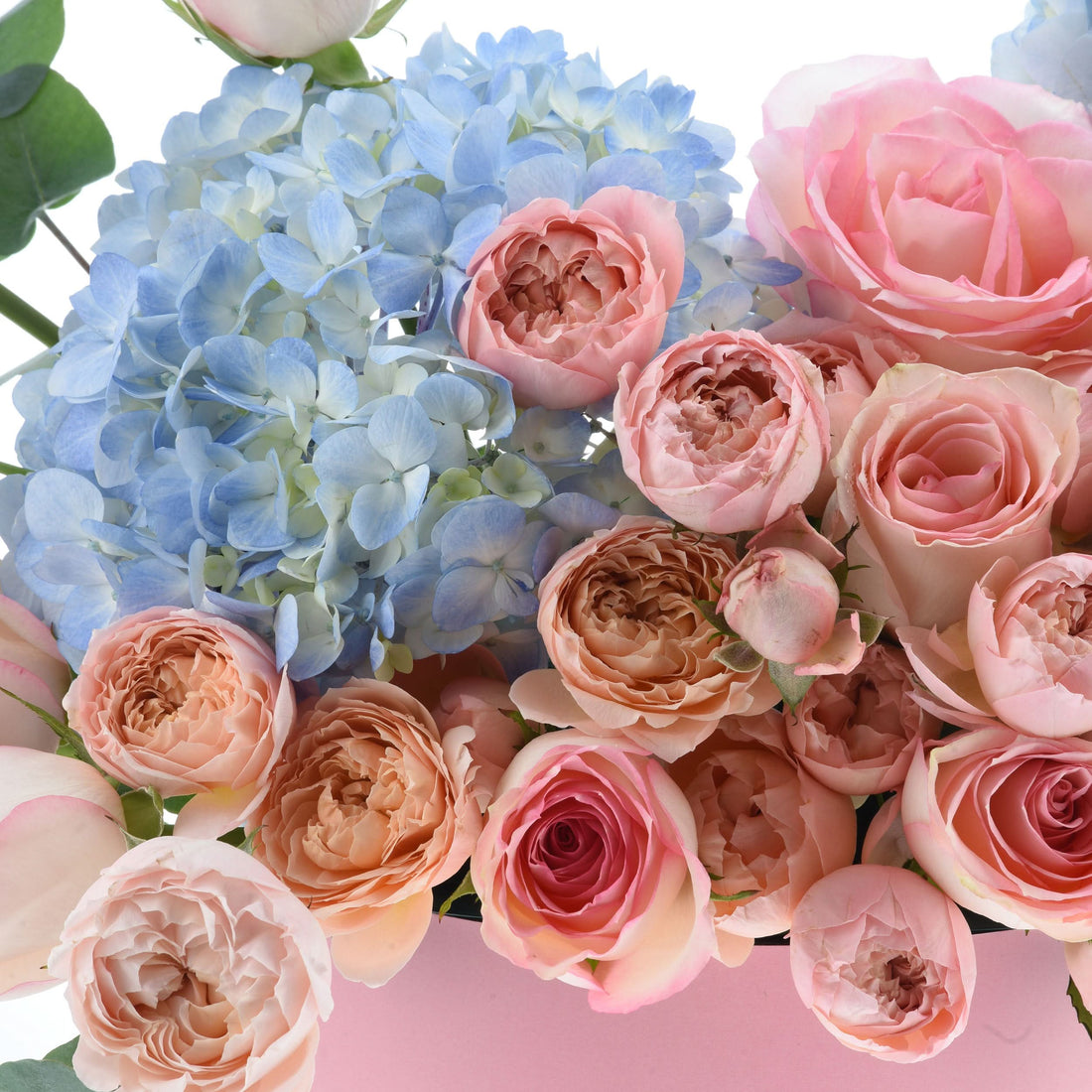 Soft pink roses and blue hydrangeas in elegant floral arrangement.