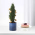 Blue potted mini tree with gold ornaments beside pink layered cake on white stand.