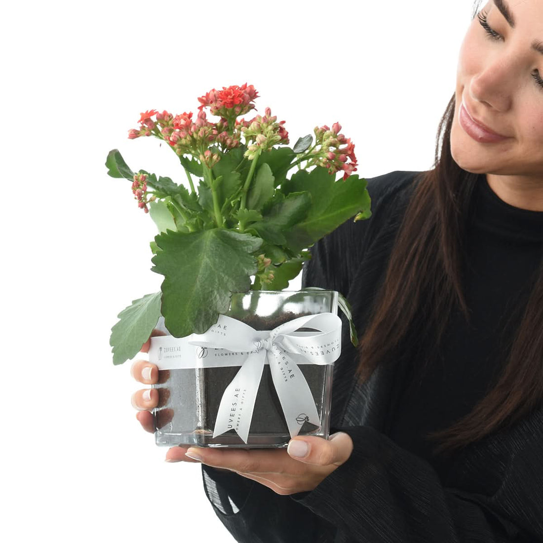 Woman holding a red Kalanchoe plant in a glass vase, living flowering plant gift delivery in Dubai