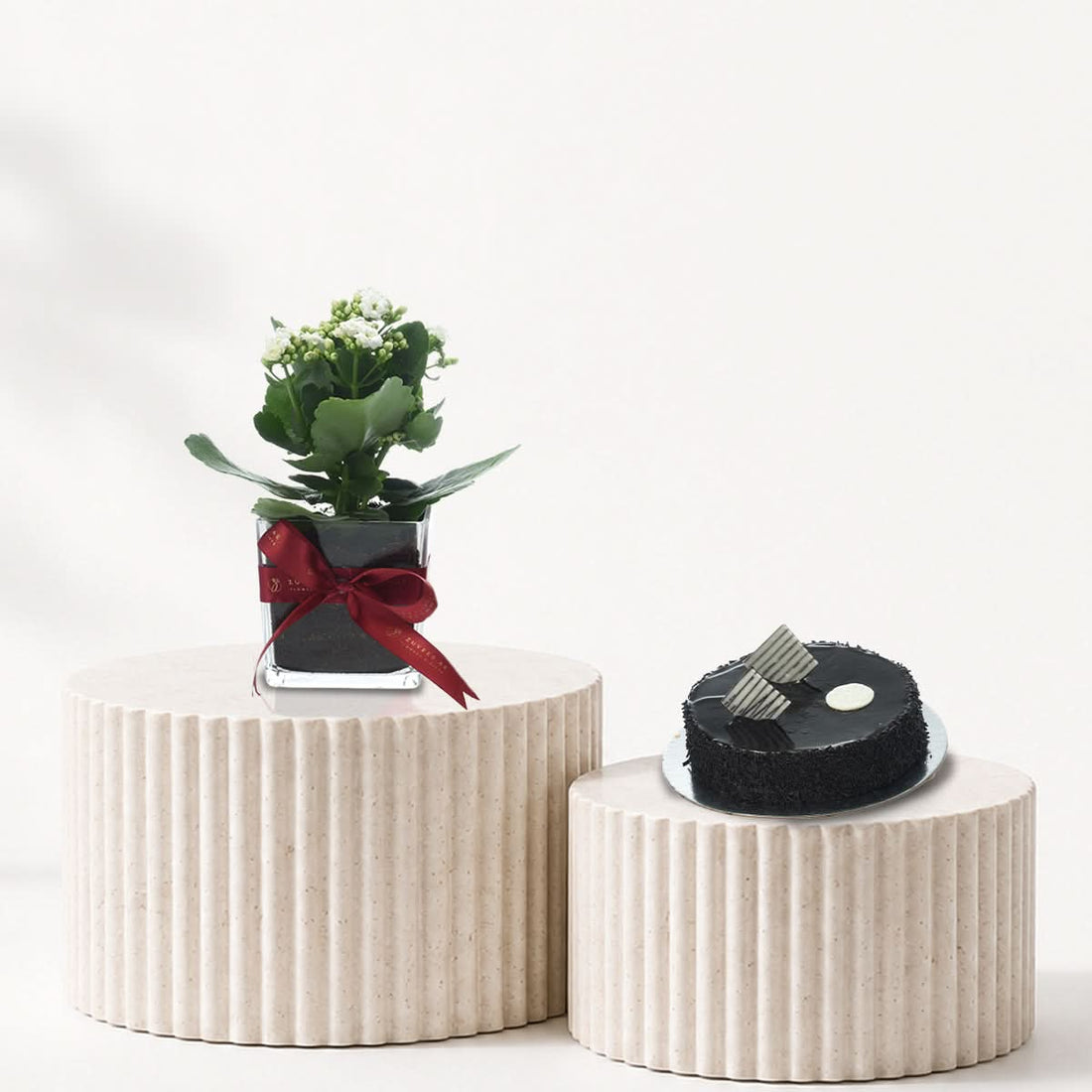 White Kalanchoe plant in a glass vase paired with a cake, plant and cake gift combo, Zuvees UAE