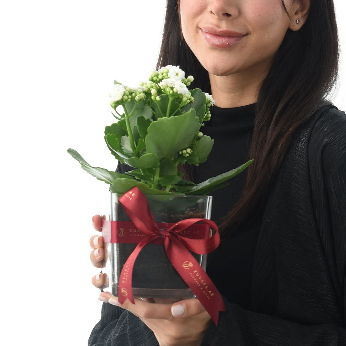 Woman holding a white Kalanchoe plant in a square glass vase tied with a red ribbon, living plant gift delivery in Dubai