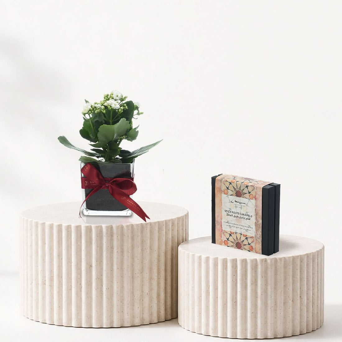 White Kalanchoe plant in a glass vase with Mirzam chocolates, plant and chocolate gift combo