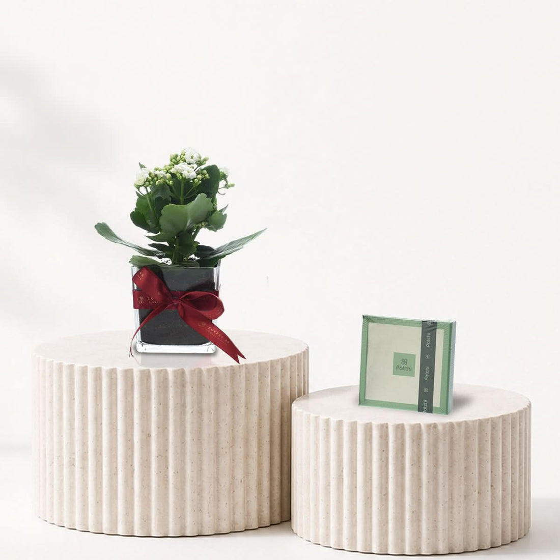 White Kalanchoe plant in a glass vase with Patchi chocolates, plant and chocolate gift combo