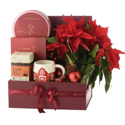 Vibrant red poinsettias, festive mug, cake tin, and coffee in elegant burgundy gift box.