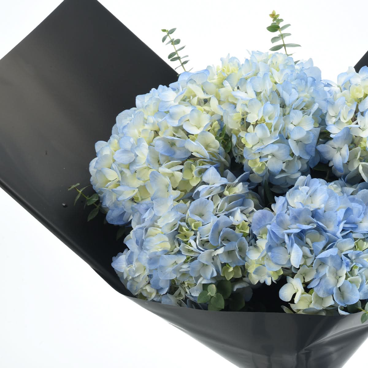 Midnight Hydrangea Bouquet