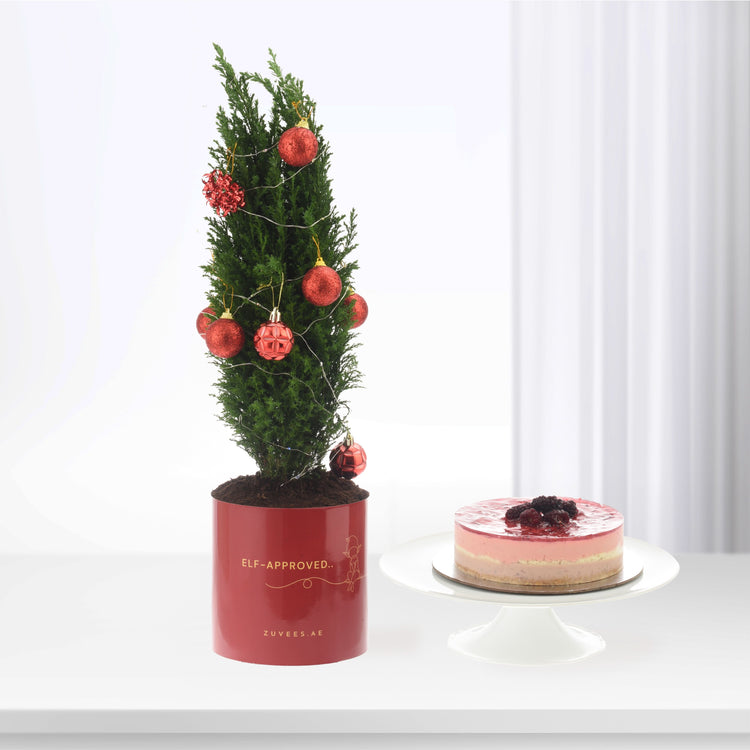 Red-ornamented mini tree in glossy pot beside layered berry cake.