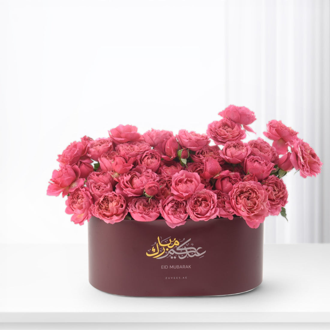 Noor of Juleita - Zuvees.ae