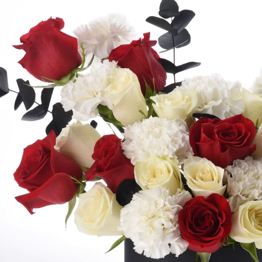Vibrant red and cream roses with white carnations and dark eucalyptus against stark white background.