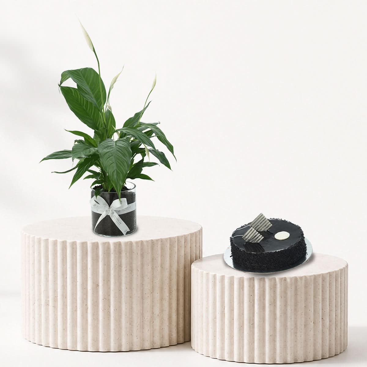 Peace Lily - Spathiphyllum Plant Cake Combo