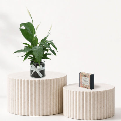 Peace Lily - Spathiphyllum Plant Chocolate Combo