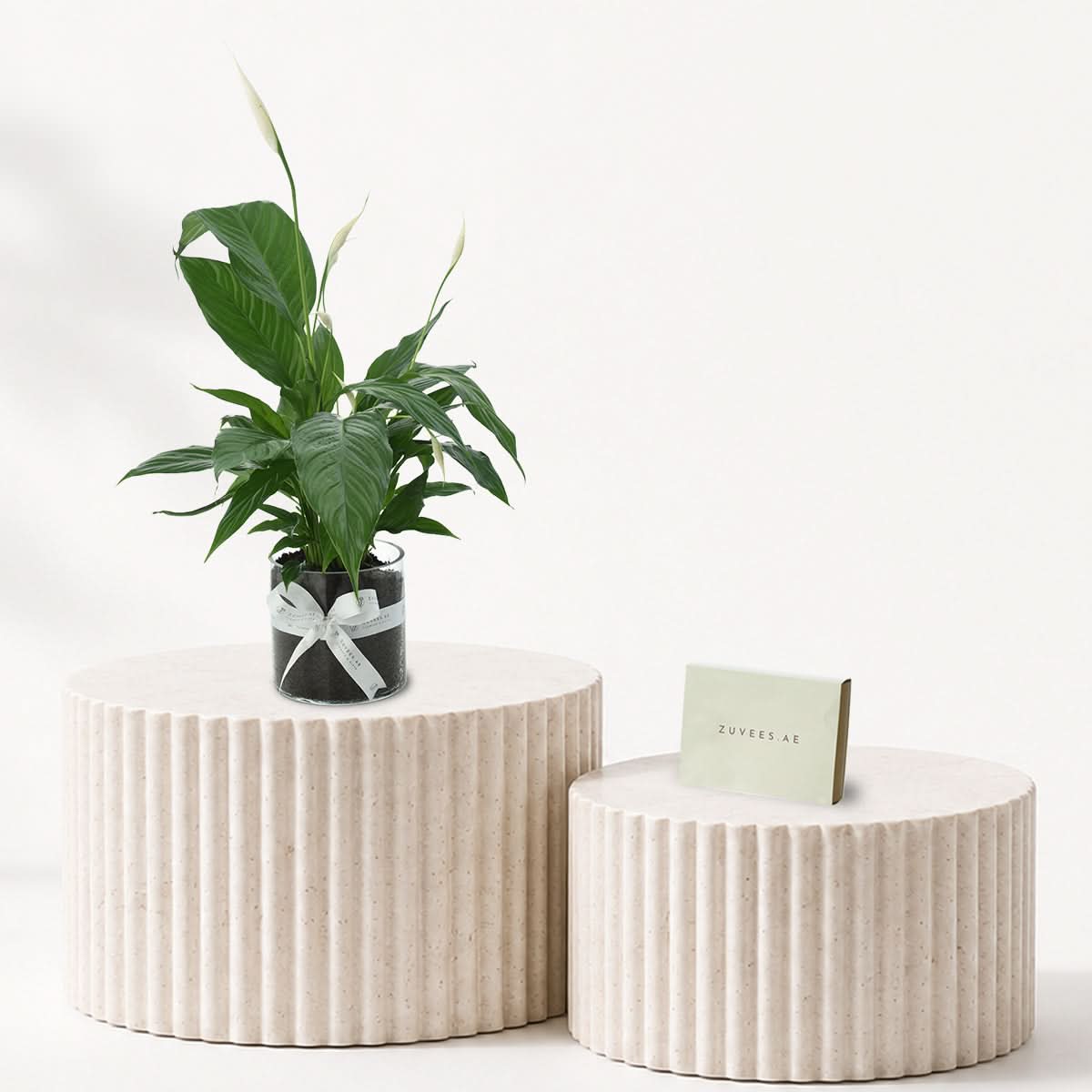 Peace Lily - Spathiphyllum Plant Chocolate Combo