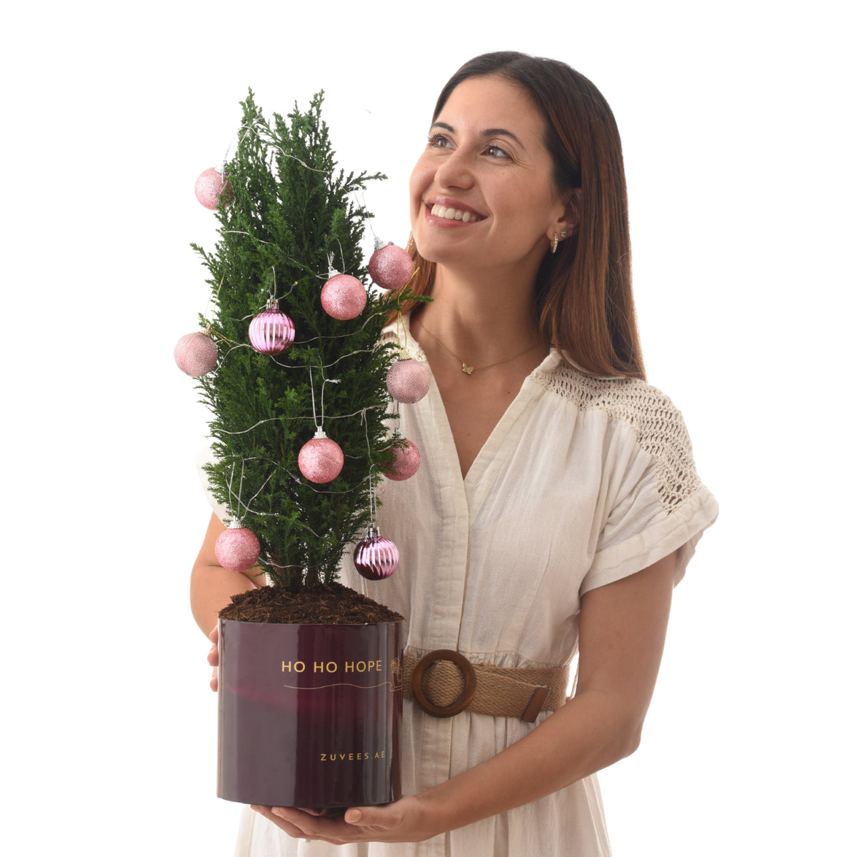 Woman holds festive mini tree in maroon pot with pink ornaments and "Ho Ho Hope" text.