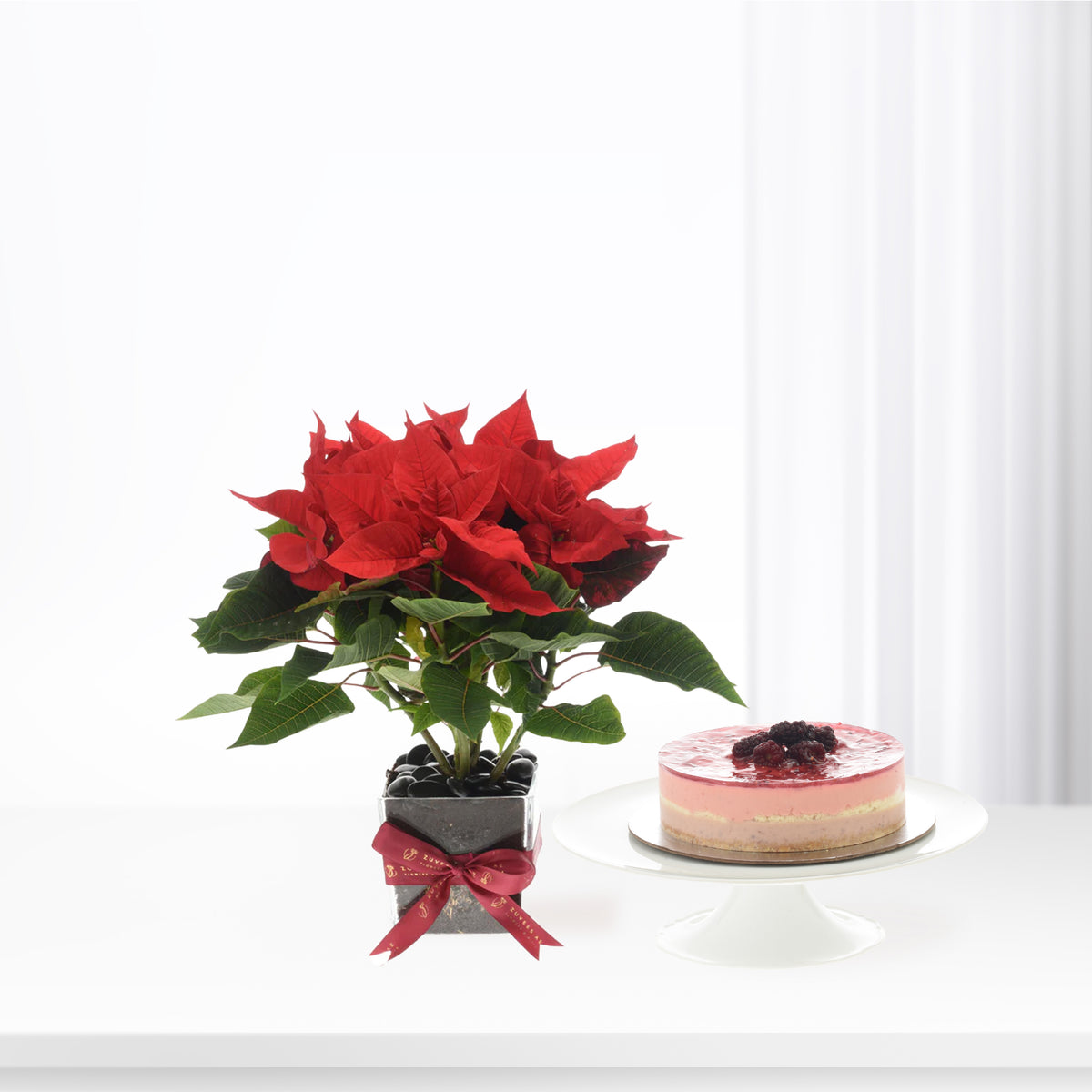 Vibrant red poinsettia in black pot with ribbon, beside layered berry cheesecake on white stand.
