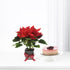 Vibrant red poinsettia in black pot with ribbon, beside layered berry cheesecake on white stand.