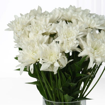 Pure White Blooms Vase - Zuvees.ae