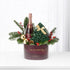 Elegant holiday gift basket with champagne, green star box, pine, berries, and gold ornaments.
