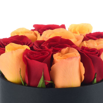 Red and Orange Mixed Rose Box - Halloween Gifts