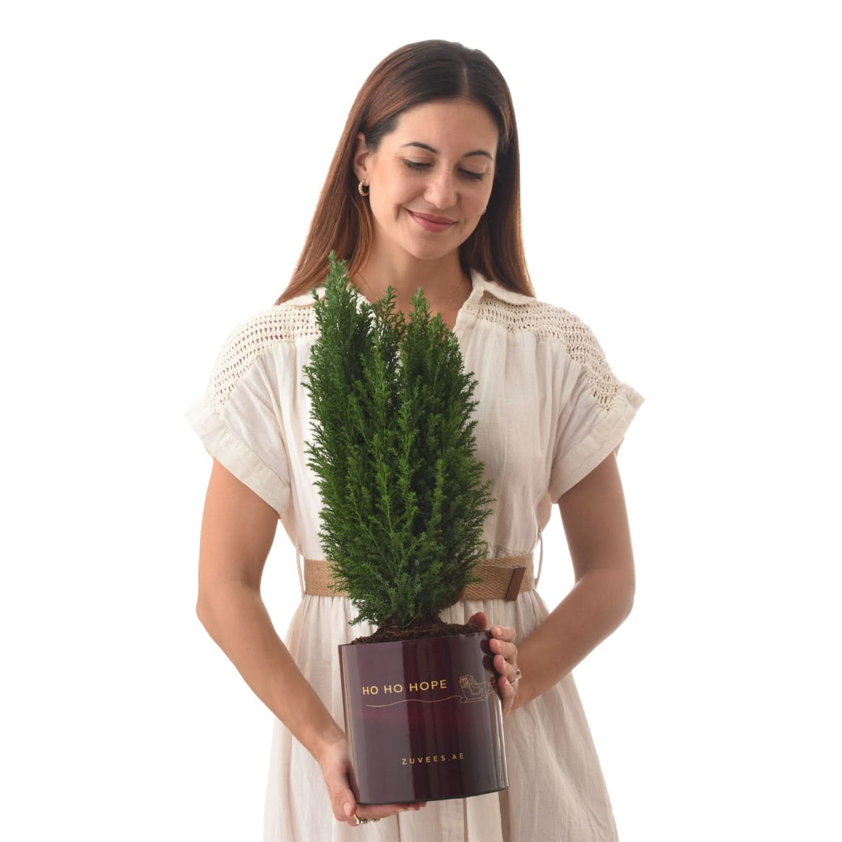 Woman holds lush green potted plant in elegant burgundy "HO HO HOPE" container, white dress, warm smile.