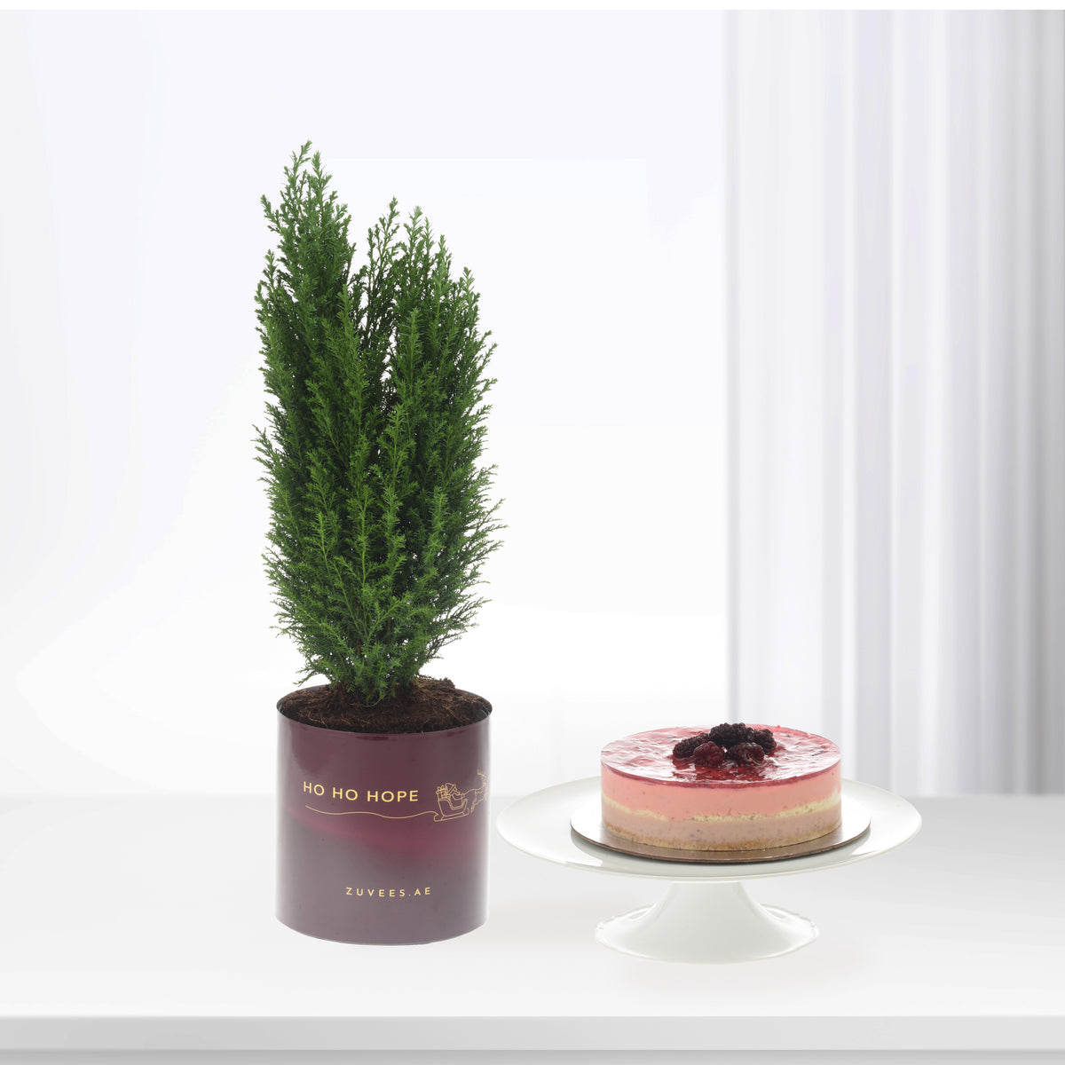 Vibrant greenery in burgundy pot beside layered pink cake on white stand.