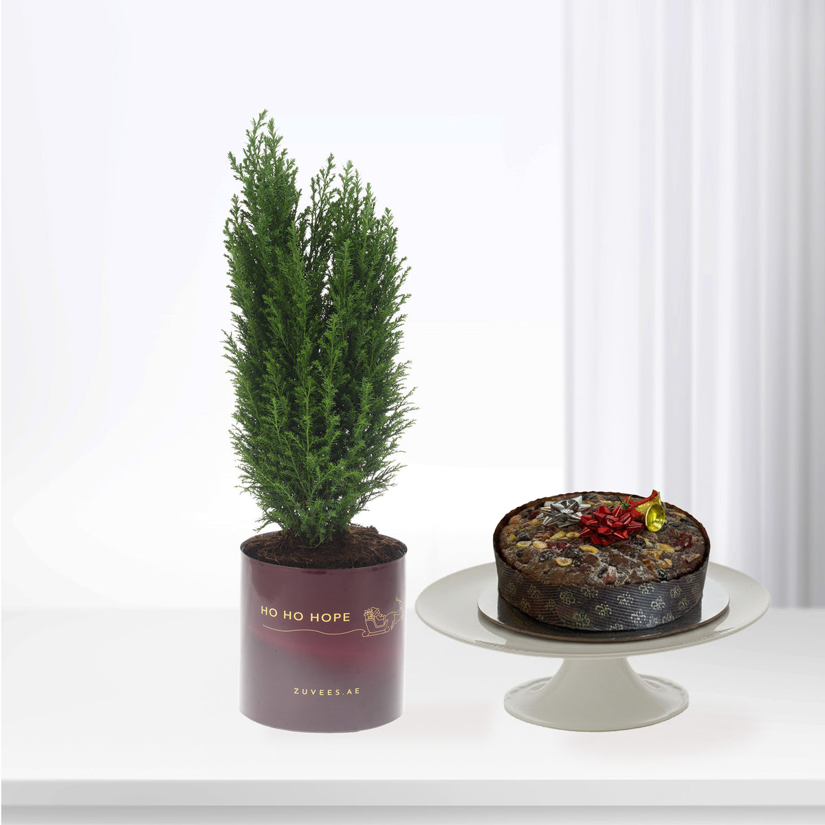 Small Christmas Tree With Cake Combo - Zuvees.ae