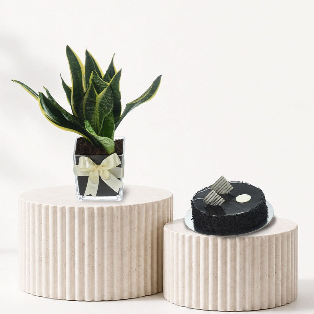 Snake plant in a vase paired with a cake, indoor plant and cake gift combo, Zuvees UAE