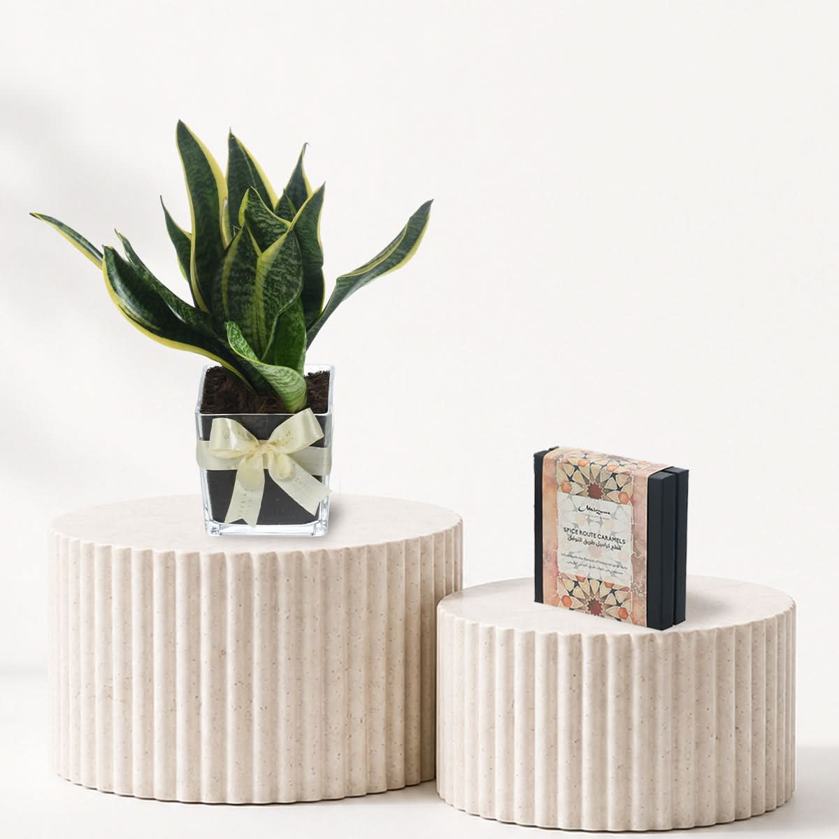 Snake plant In Vase Chocolate Combo