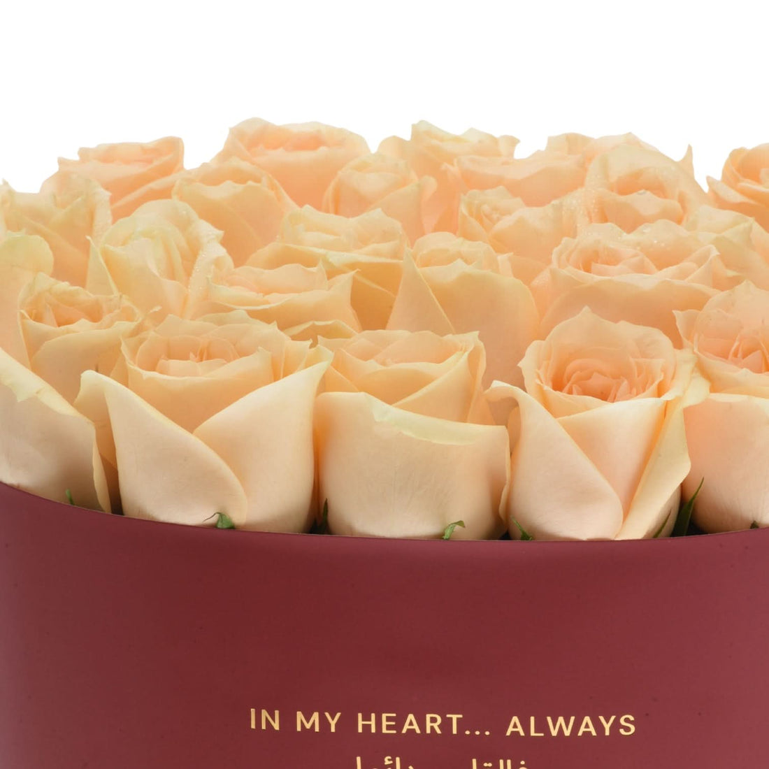 Soft Evening Glow in Box - Zuvees.ae