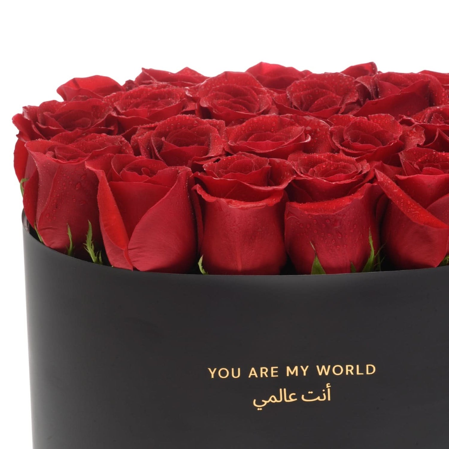 The Burgundy Eclipse Bloom Box - Zuvees.ae