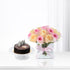 The Feminine Duet Roses Cake Combo - Zuvees.ae