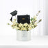 The Ivory Laureate - Zuvees.ae