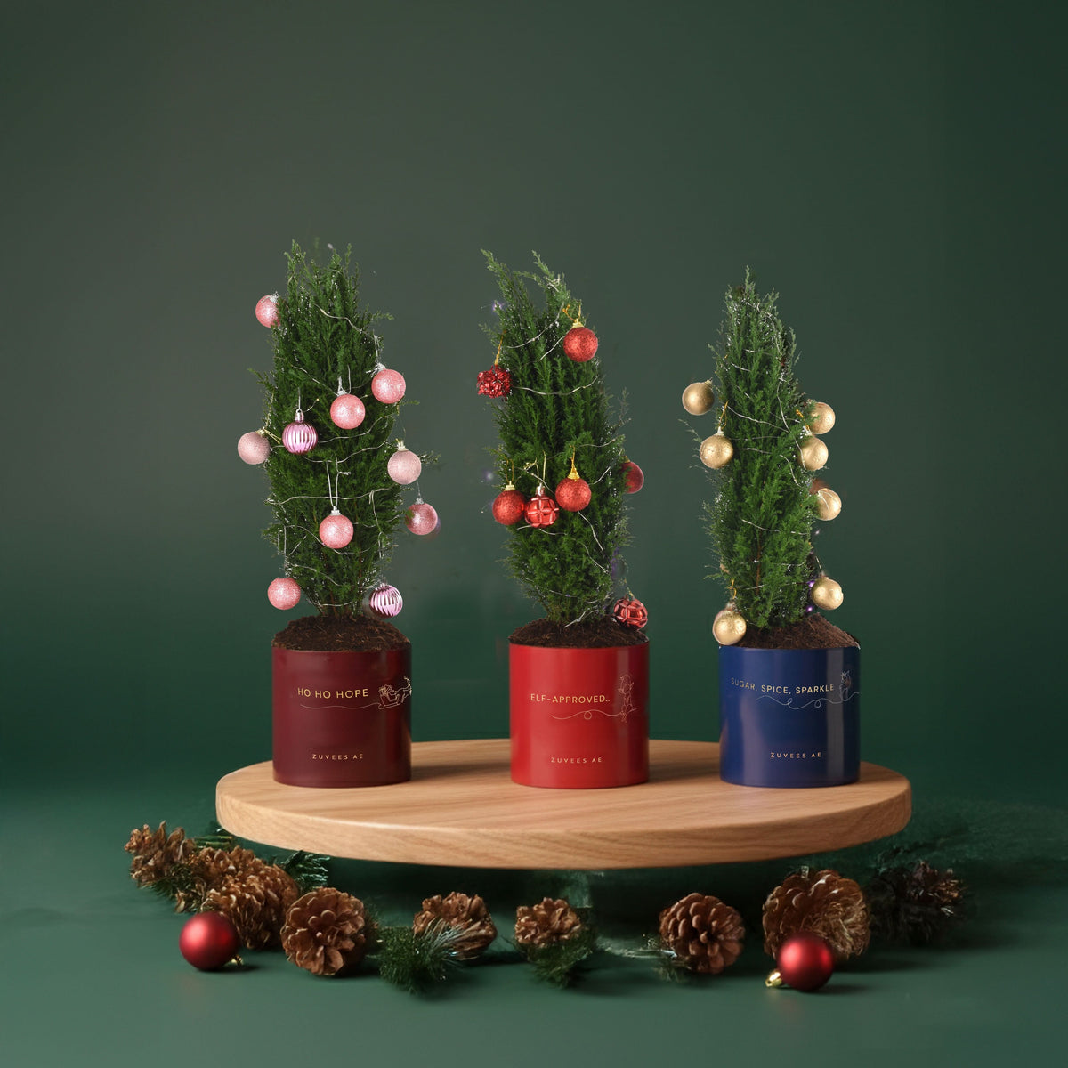 Three festive mini trees in red/blue pots, adorned with pink/red/gold ornaments, set against deep green backdrop.