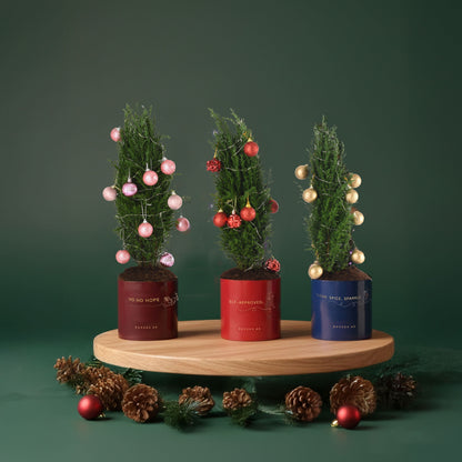 Three festive mini trees in red/blue pots, adorned with pink/red/gold ornaments, set against deep green backdrop.