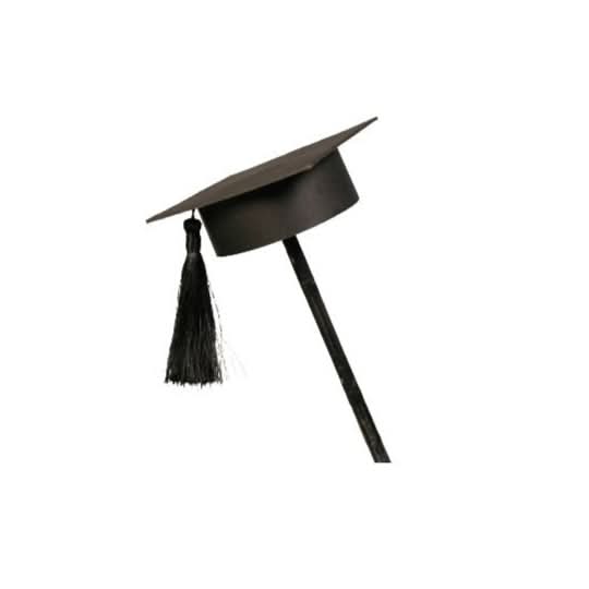 Black graduation cap on stick, tassel dangling, minimalist studio shot.
