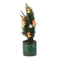 Green potted tree adorned with gold bells and pink ornaments, branded "A Christmas Hug".