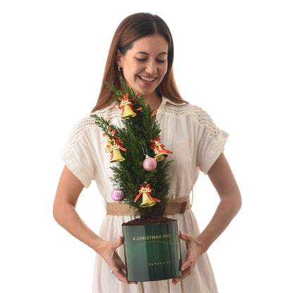 Woman holds mini Christmas tree in green "A Christmas Hug" pot, adorned with gold bells, pink ornaments.