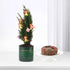 Mini Christmas tree in green pot with gold bells, pink ornaments, beside chocolate Yule log cake.
