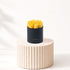 Yellow Rose Flower Box-Halloween Gifts