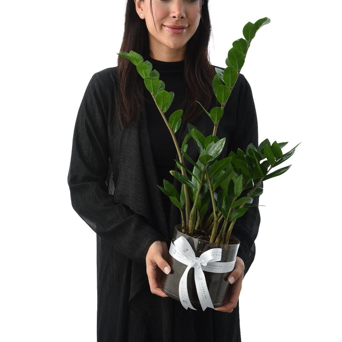Zamiifolia Plant In Glass Vase
