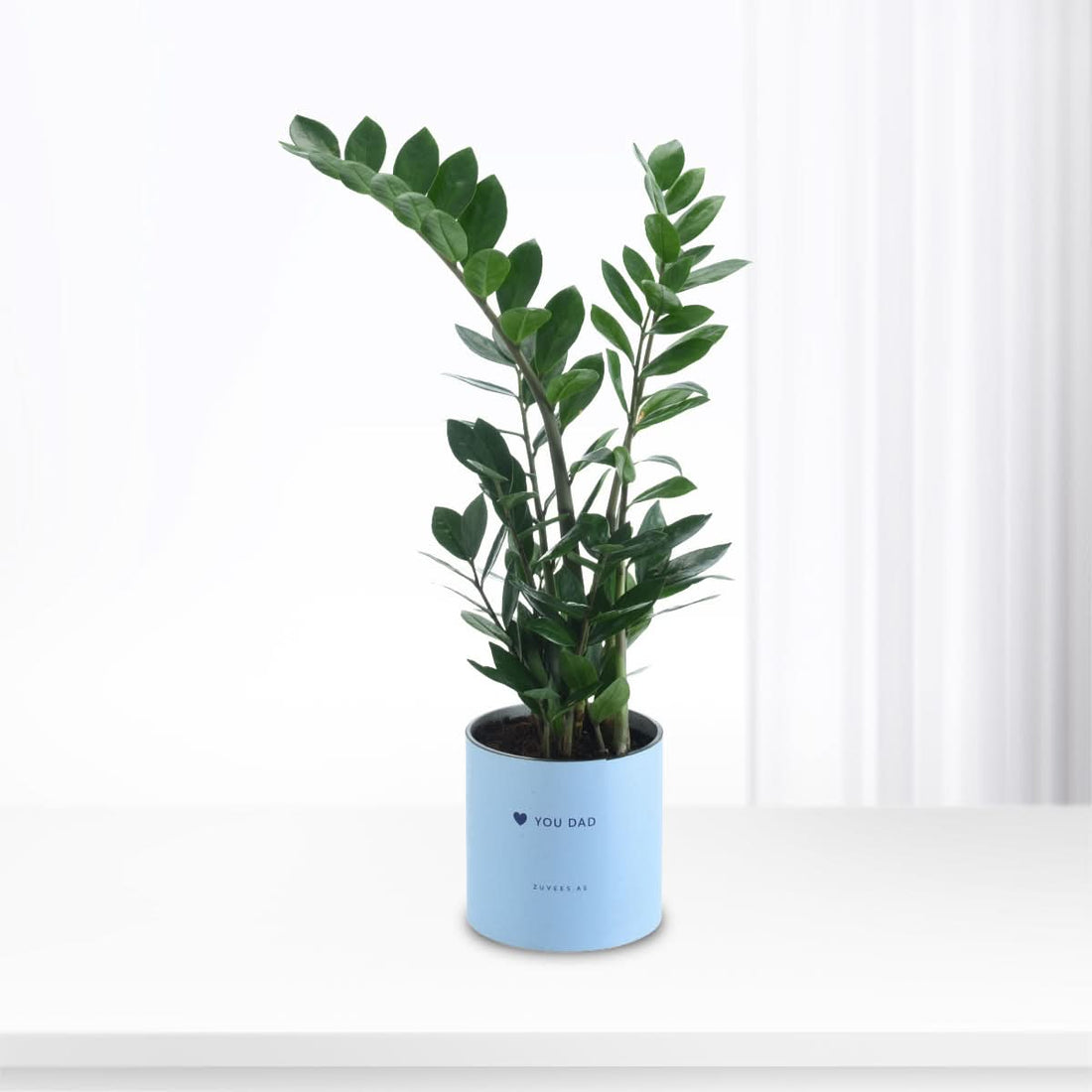Zamiifolia ZZ plant in a Love You Dad vase, glossy green foliage, Father&