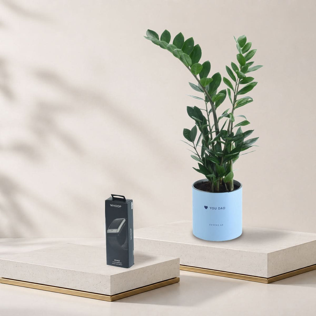 Zamiifolia ZZ plant in a Love You Dad vase with a WHOOP 5.0 fitness band, Father&