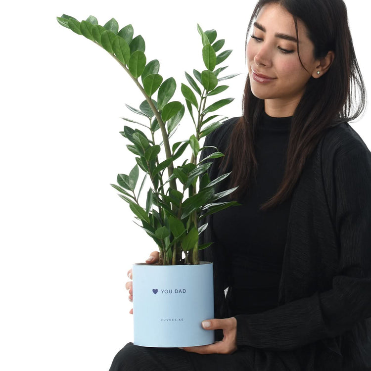 Zamiifolia Plant Love You Dad Vase