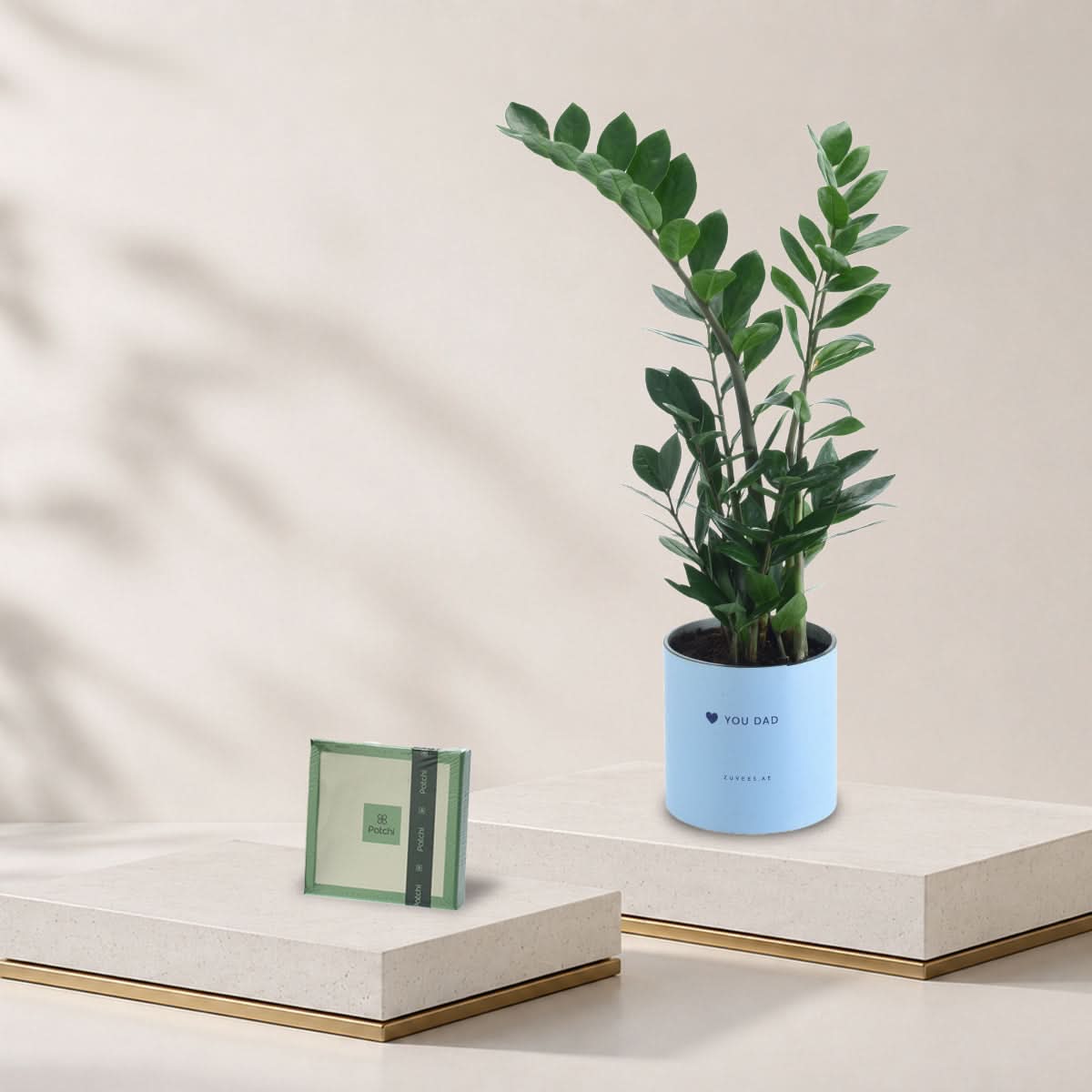 Zamiifolia Plant Love You Dad Vase Chocolate Combo