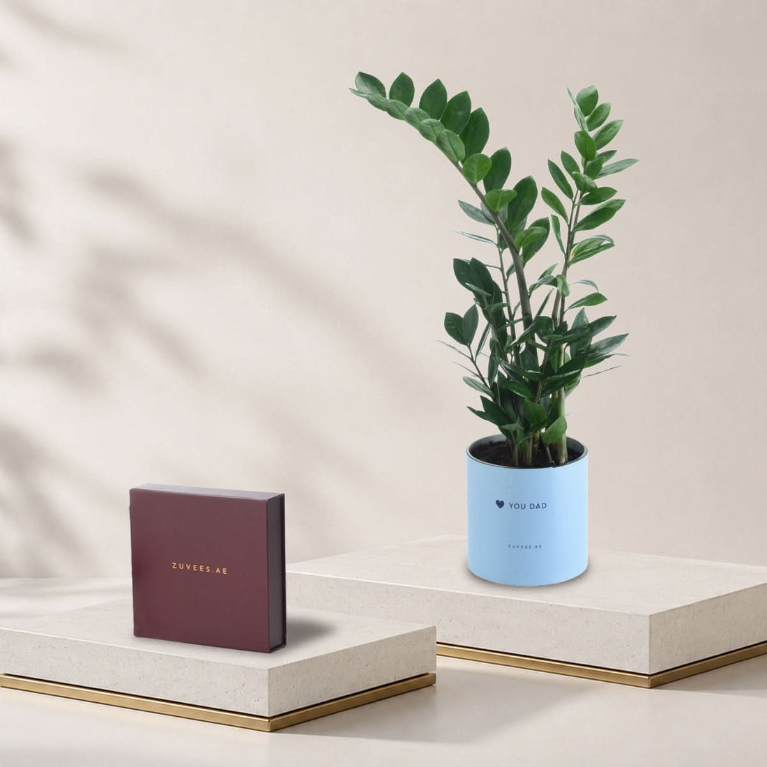 Zamiifolia ZZ plant in a Love You Dad vase with a large Zuvees chocolate box, Father&