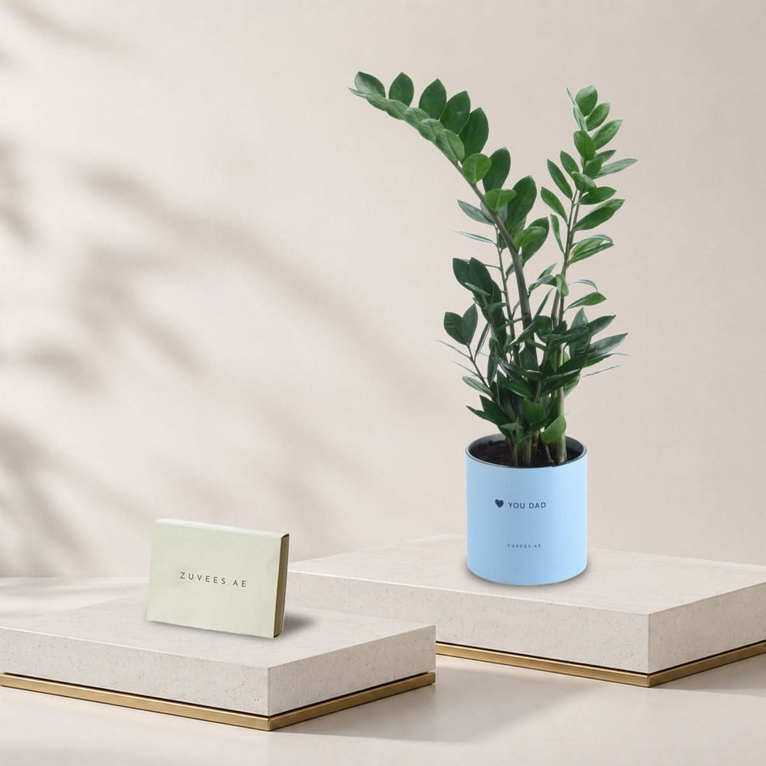 Zamiifolia ZZ plant in a Love You Dad vase with a small Zuvees chocolate box, Father&